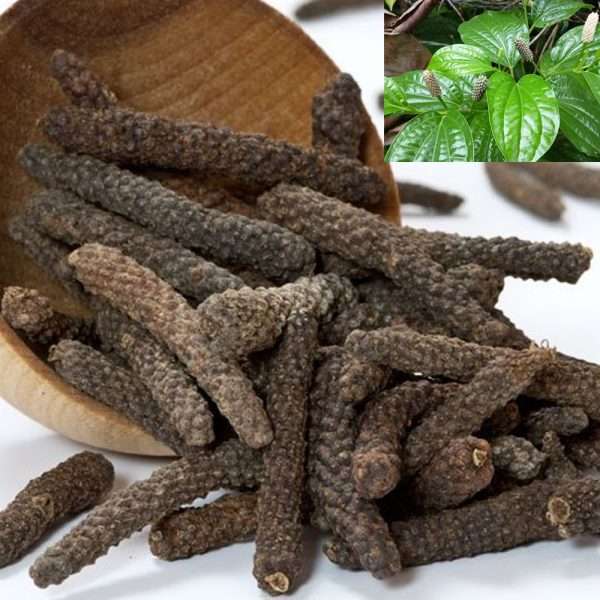 Dried Indian Long Pepper