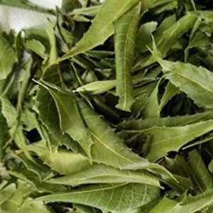 Dried Neem Leaves