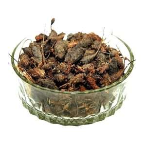 Dried Nut Grass