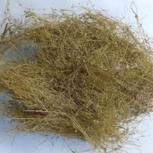 Dried Parpadagam