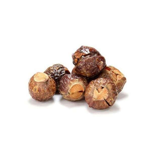 Dried Soapnut